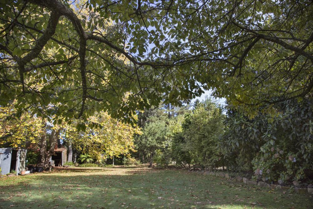 Secrets Hideaway Bed and Breakfast Blackheath Buitenkant foto