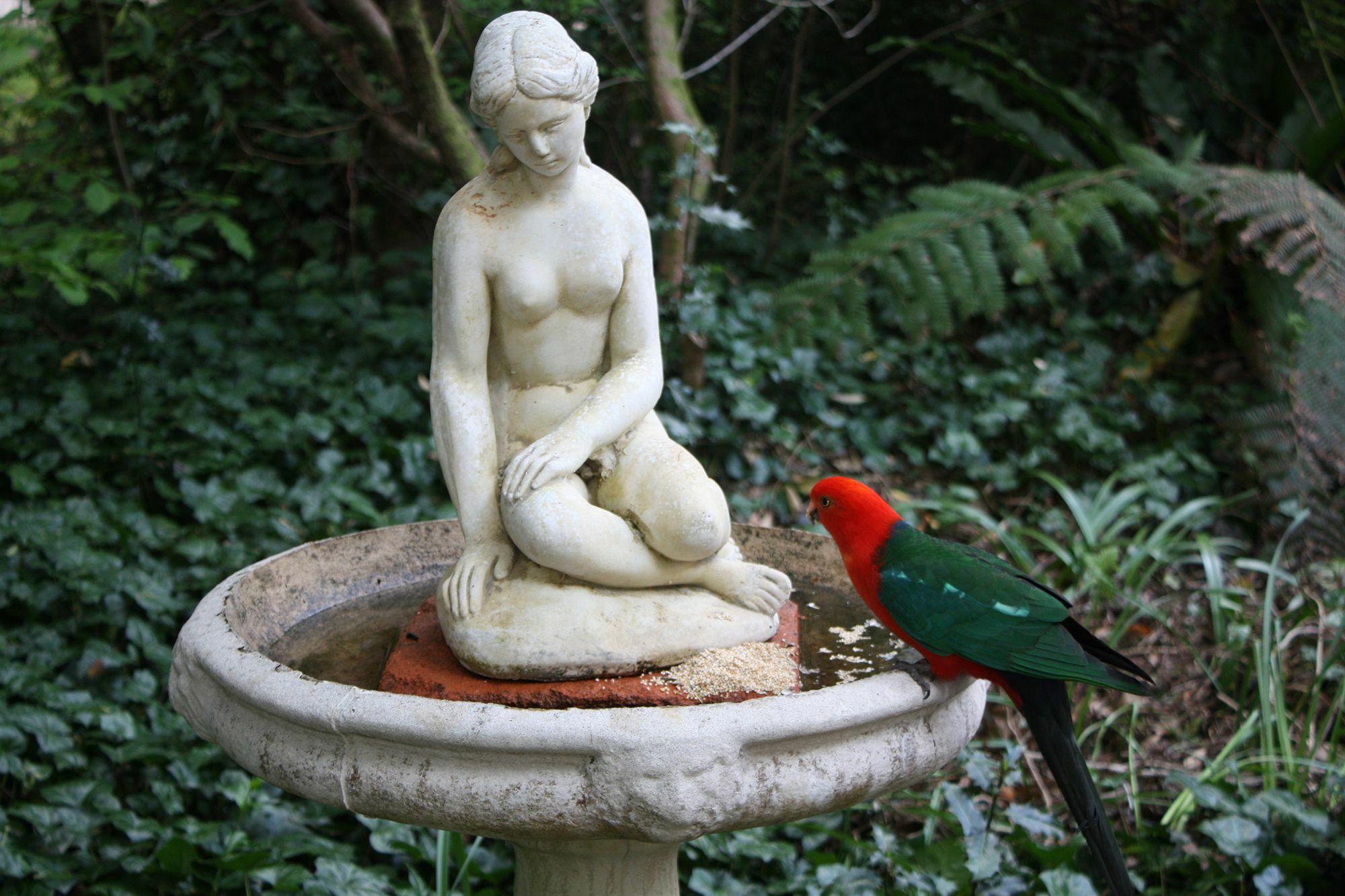 Secrets Hideaway Bed and Breakfast Blackheath Buitenkant foto